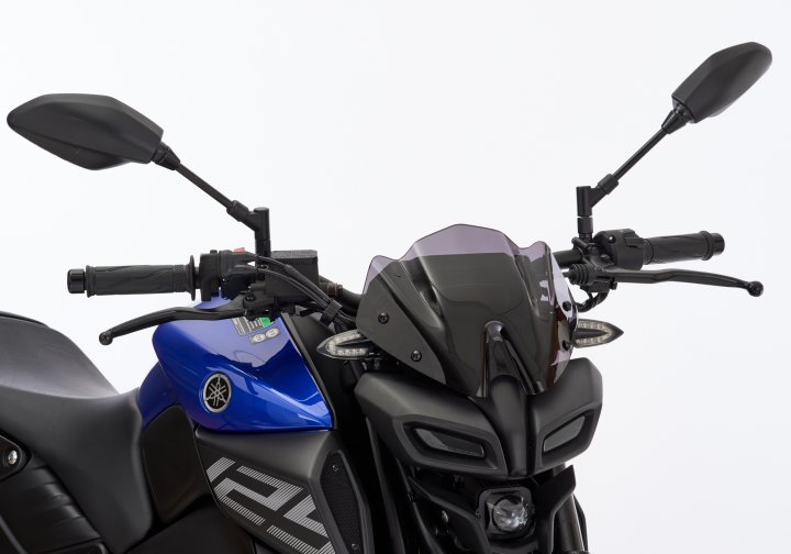 ERMAX Naked-Bike-Scheibe für MT-125 RE39 für MT-125 RE39